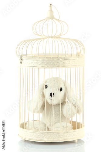 Photo: Toy rabbit in decorative cage, isolated on white Toy rabbit in decorative cage, isolated on white