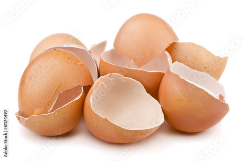 Photo: Egg shells Egg shells