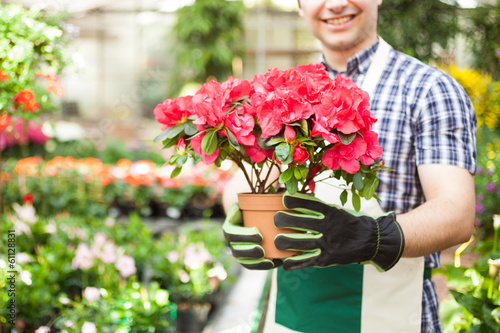 Photo: Greenhouse worker holding a flower pot Greenhouse worker holding a flower pot