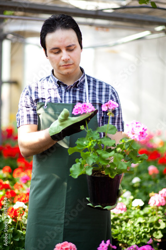 Photo: Gardener examining a flower Gardener examining a flower