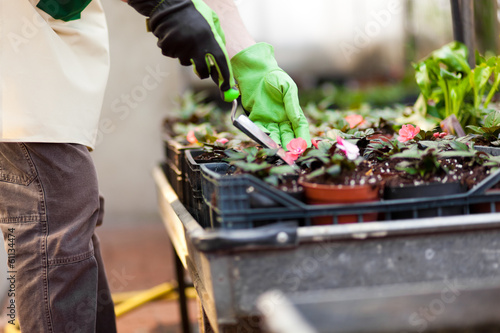 Photo: Green house employee Green house employee