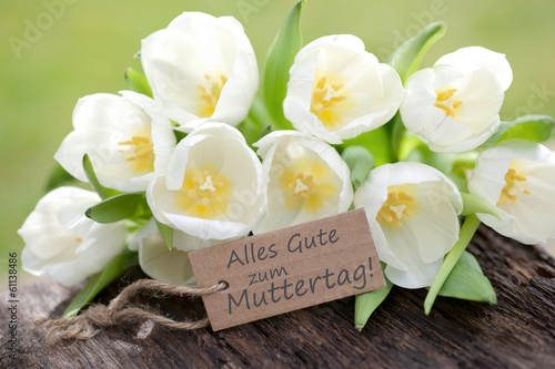 Photo: Alles Gute zum Muttertag! Alles Gute zum Muttertag!