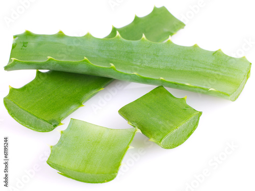Photo: Aloe vera Aloe vera