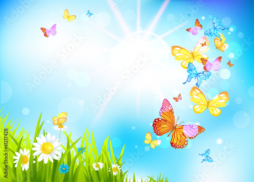 Vector: Vector summer background with flowers and butterflies Vector summer background with flowers and butterflies