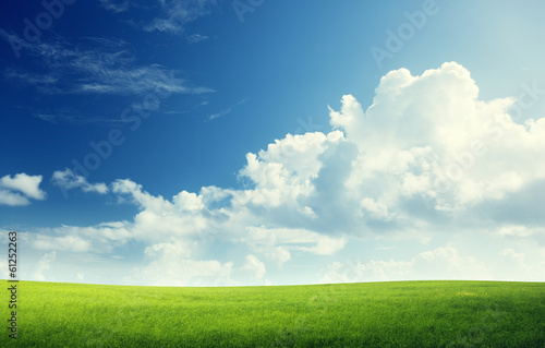 Photo: field of grass and perfect sky field of grass and perfect sky