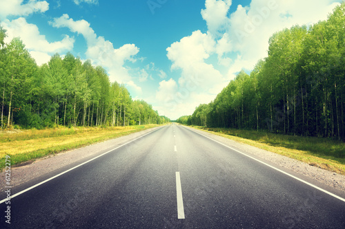Photo: road in summer forest road in summer forest