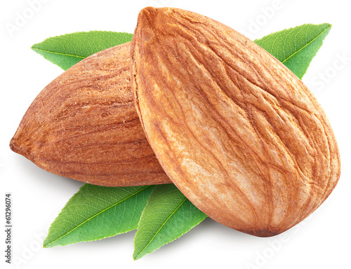 Photo: Almonds with leaves isolated. Almonds with leaves isolated.