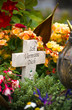Friedhof Friedhof