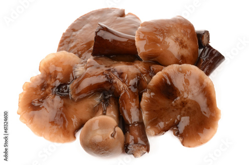 Photo: marinated mushrooms marinated mushrooms