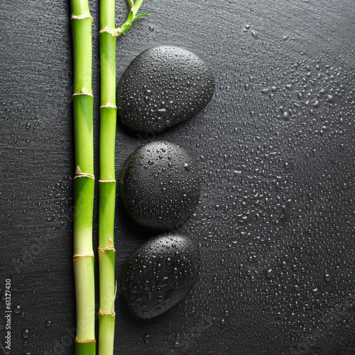  zen stones and bamboo with dew
