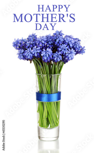 Photo: Muscari - hyacinth in glass isolated on white Muscari - hyacinth in glass isolated on white