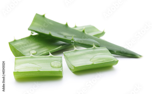 Photo: Aloe Aloe