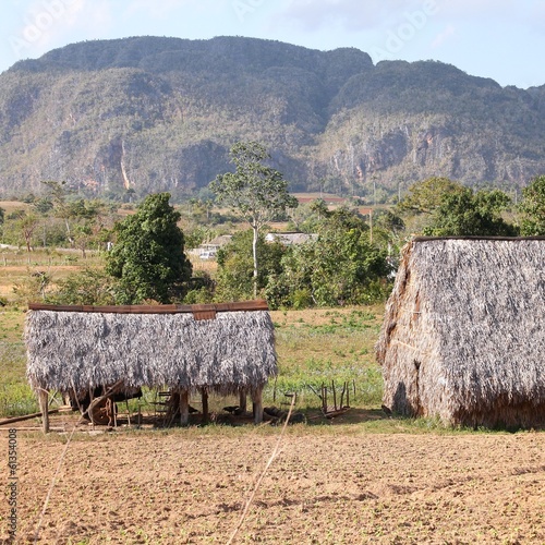 Photo: Cuba - Vinales region Cuba - Vinales region