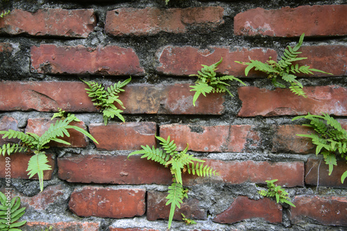 Photo: brick wall background brick wall background