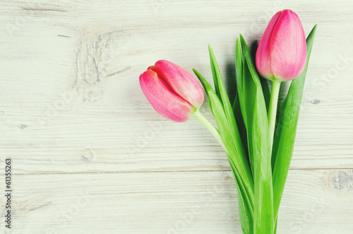 Photo: two pink tulips on white wooden surface two pink tulips on white wooden surface