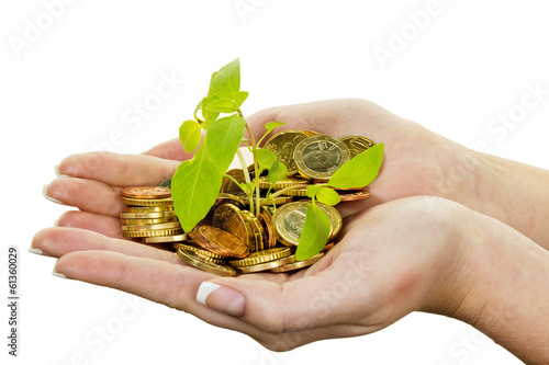 Photo: Geld und Pflanze. Symbolfoto Sparen Geld und Pflanze. Symbolfoto Sparen