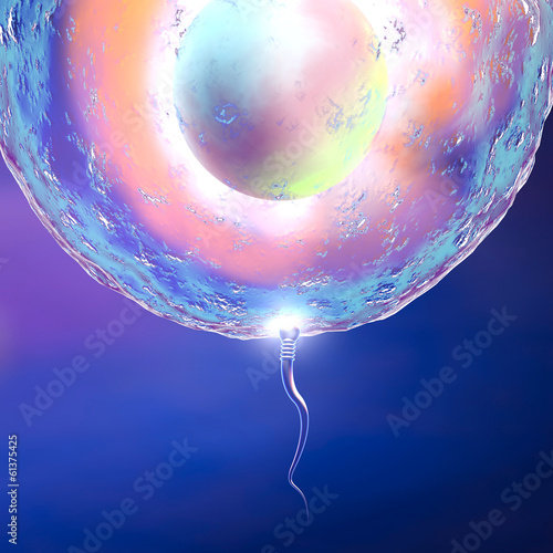 Illustration: Concepimento ovulo e spermatozoo Concepimento ovulo e spermatozoo