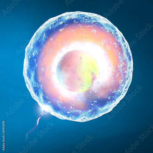 Illustration: Concepimento ovulo e spermatozoo Concepimento ovulo e spermatozoo