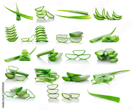 Photo: aloe vera isolated on white background aloe vera isolated on white background