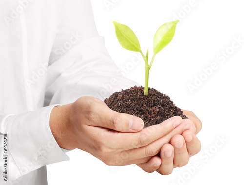 Photo: Businessman holding plant Businessman holding plant
