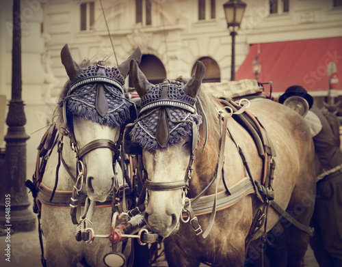 Photo: Coach in Vienna Coach in Vienna