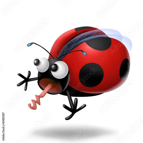 Illustration: coccinella terrorizzata coccinella terrorizzata