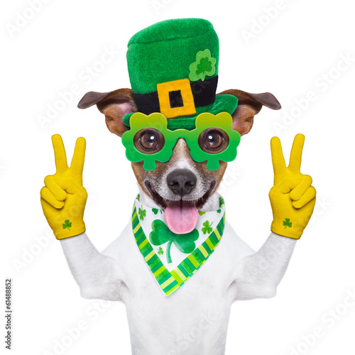 Photo: st patricks day dog st patricks day dog