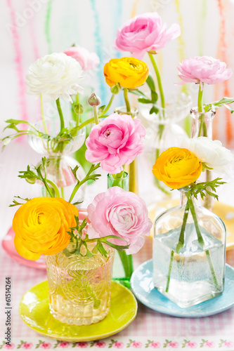 Photo: colorful ranunculus colorful ranunculus