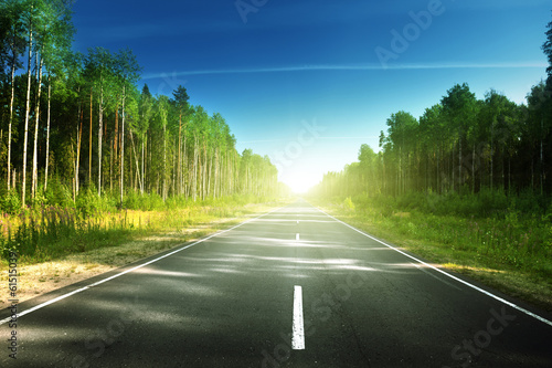Photo: road in summer forest road in summer forest