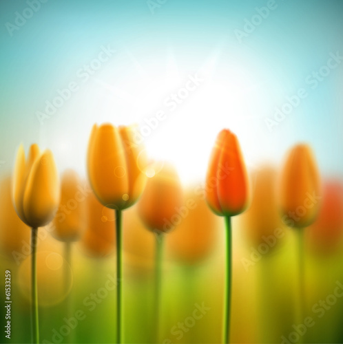 Vector: Spring background with tulips Spring background with tulips