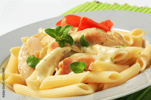 Photo: Pasta, chicken meat and cream sauce Pasta, chicken meat and cream sauce