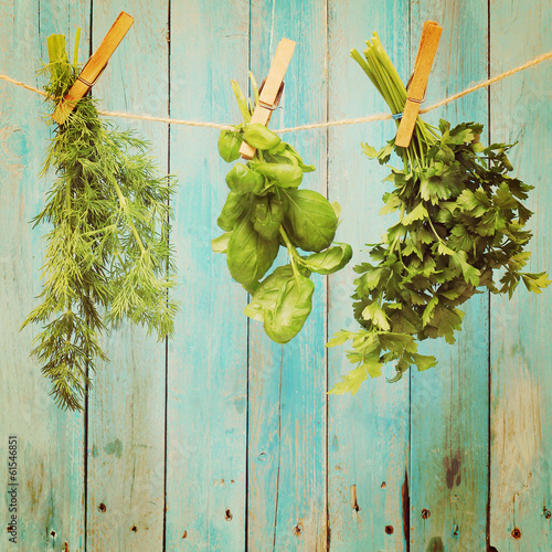 Photo: Assorted hanging Herbs on an old and vintage wooden blue Assorted hanging Herbs on an old and vintage wooden blue