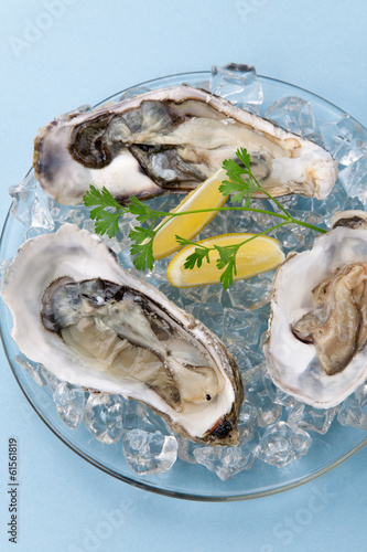 Photo: Fresh Oysters on Ice Fresh Oysters on Ice