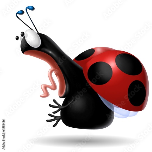 Illustration: coccinella shock coccinella shock