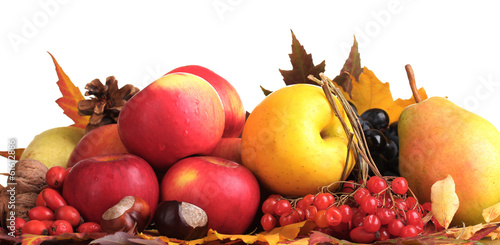 Photo: beautiful autumn harvest and leaves isolated on white beautiful autumn harvest and leaves isolated on white