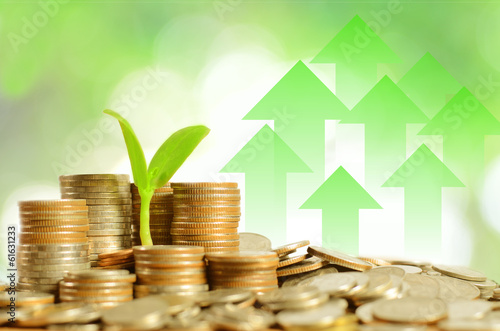 Photo: money coins pile and young tree money coins pile and young tree