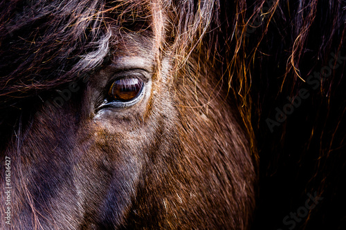 Photo: Auge Auge