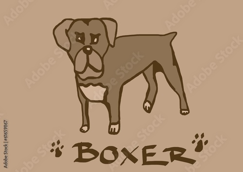 Illustration: Boxer vintage Boxer vintage