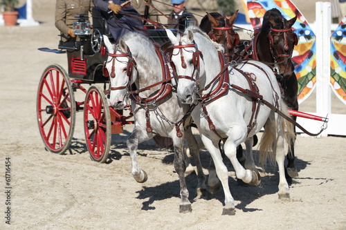Photo: Vierspänner in der Kurve Vierspänner in der Kurve