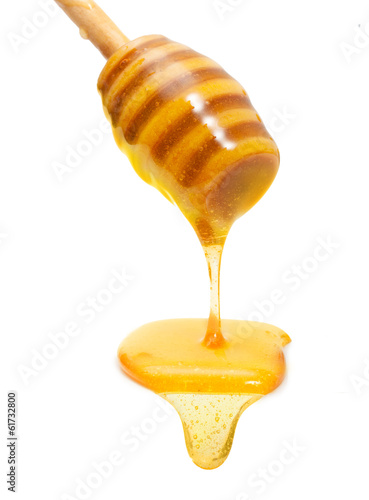 Photo: Honey drip from wooden dipper isolated on white background Honey drip from wooden dipper isolated on white background