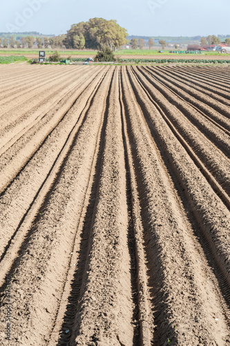 Photo: Plowed field Plowed field