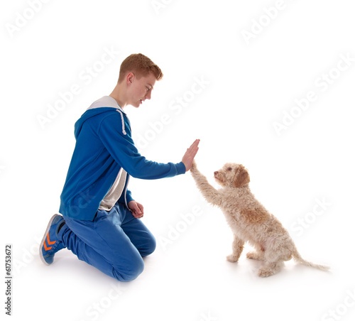 Photo: Junger Hund – High 5 Junger Hund – High 5