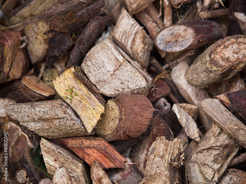 Photo: Wood Bark Medicine Wood Bark Medicine