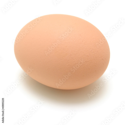 Photo: Chicken Egg Chicken Egg