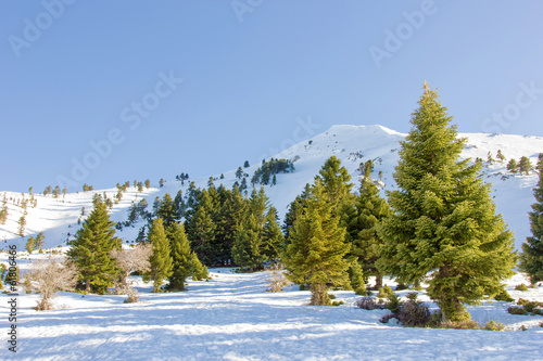 Photo: sunny day on the top of a mountain sunny day on the top of a mountain
