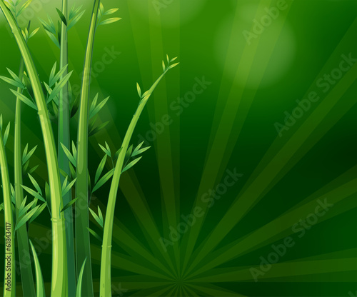 Vector: Green plants Green plants