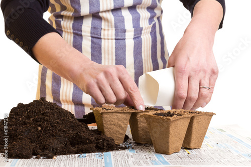 Photo: Hands with seeds, soil and pots Hands with seeds, soil and pots