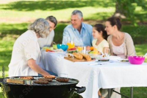 Photo: Barbecue grill with extended family having lunch in park Barbecue grill with extended family having lunch in park