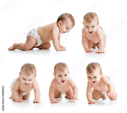 Photo: Set of crawling baby wearing diaper. Isolated on white bakground Set of crawling baby wearing diaper. Isolated on white bakground