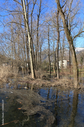 Photo: lago di Piano (Val Menaggio) lago di Piano (Val Menaggio)